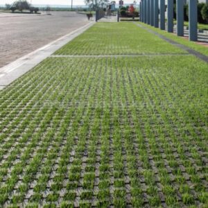 Паркувальна Решітка Ковальська